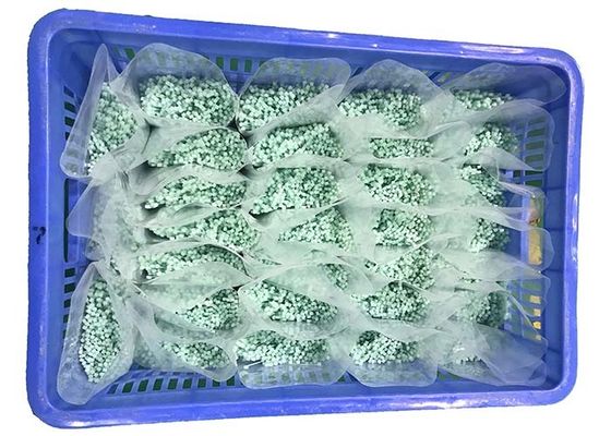 ERREICHEN Sie geringfügiges Grün Nylonkabelbinder die 120 Grad-2.5mm